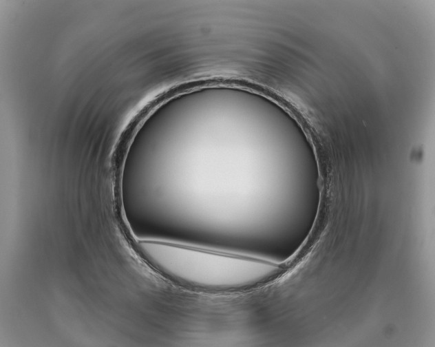 X0000090771118200707201108