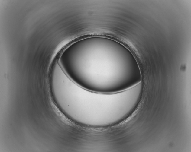 X0000090771122200707201108