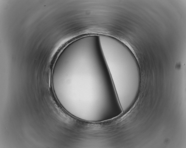 X0000090771123200707201108