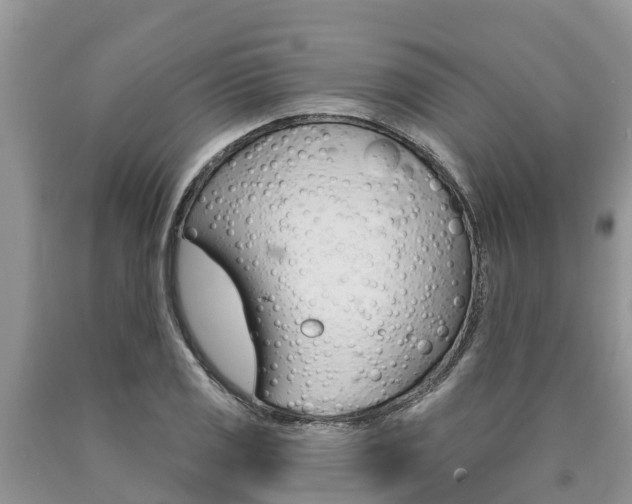 X0000090771125200707201109