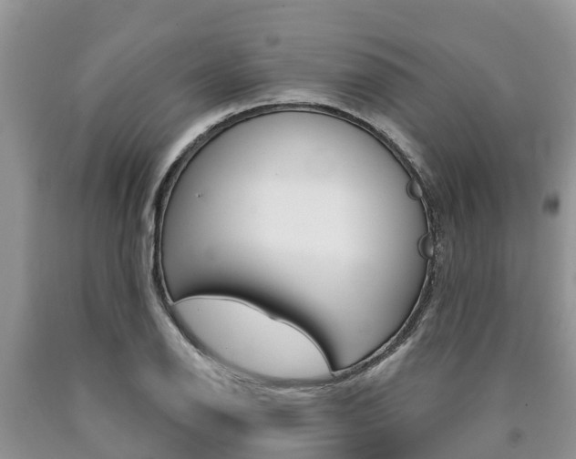 X0000090771126200707201109