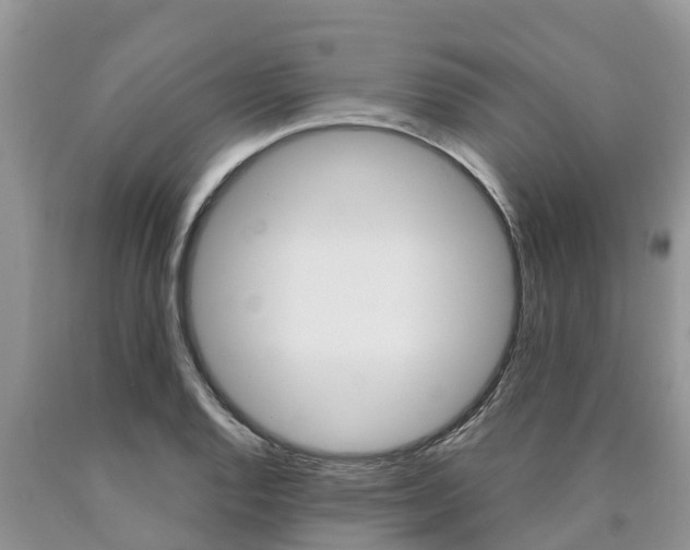 X0000090771128200707201109