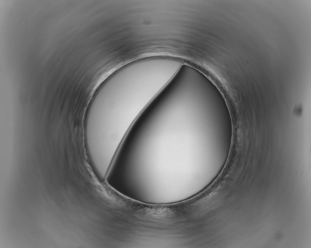 X0000090771129200707201109