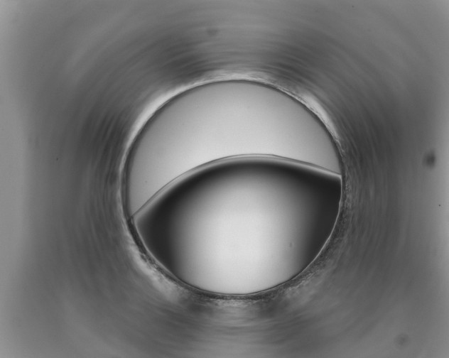 X0000090771132200707201109