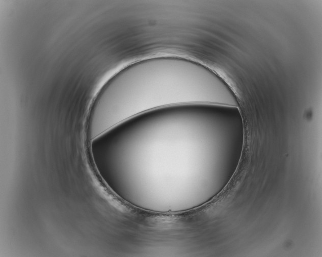 X0000090771134200707201109