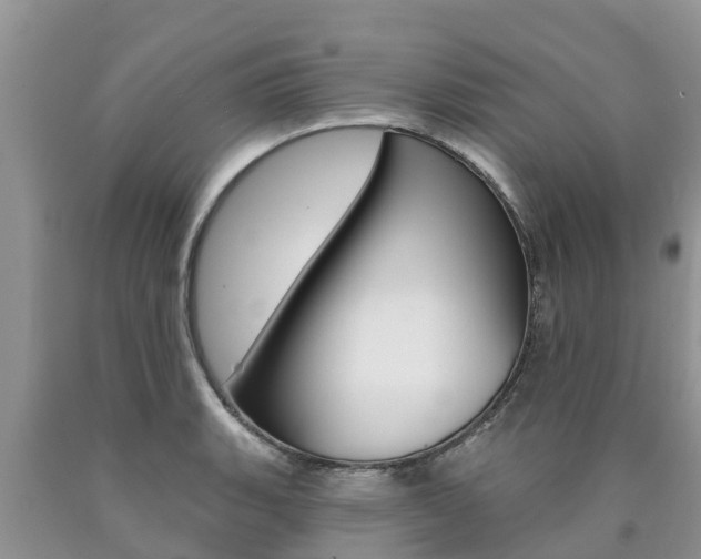 X0000090771135200707201109