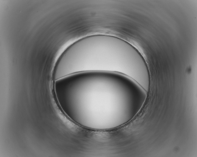 X0000090771136200707201109