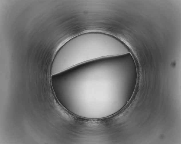 X0000090771137200707201109