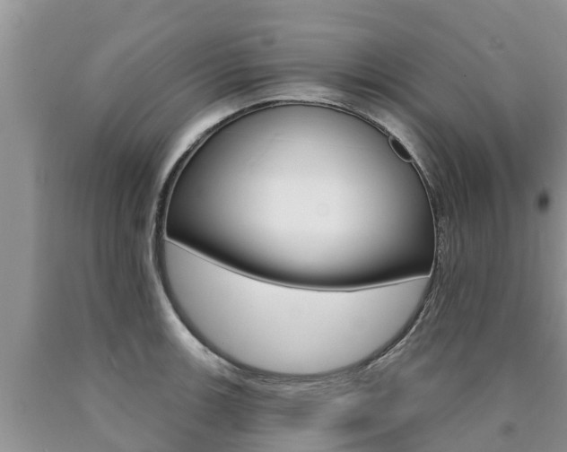 X0000090771139200707201109