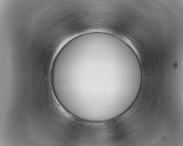 X0000090771140200707201109