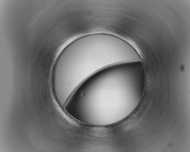 X0000090771142200707201109