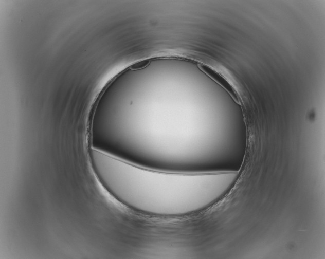 X0000090771143200707201109