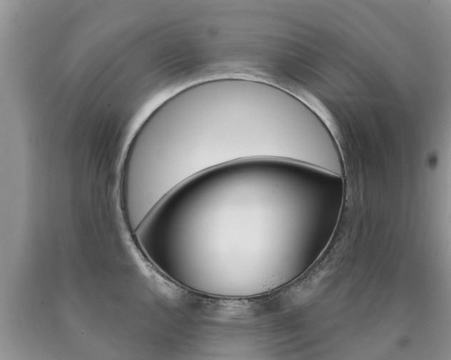 X0000090771144200707201109