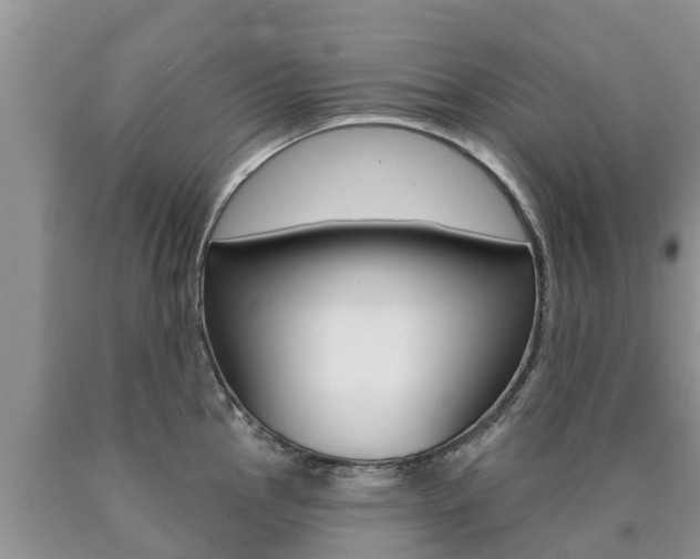 X0000090771145200707201109