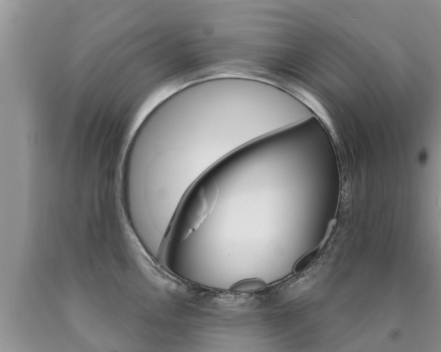 X0000090771146200707201109