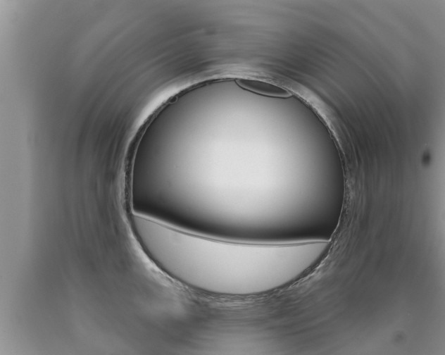 X0000090771147200707201109