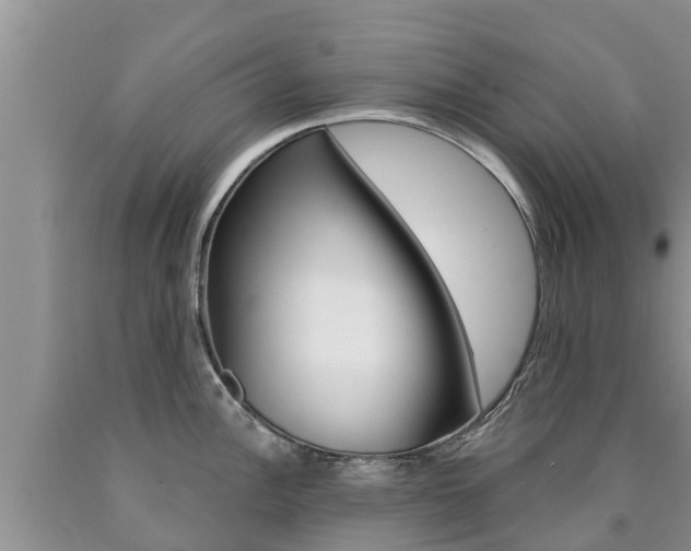 X0000090771148200707201109