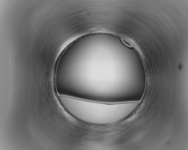 X0000090771149200707201109