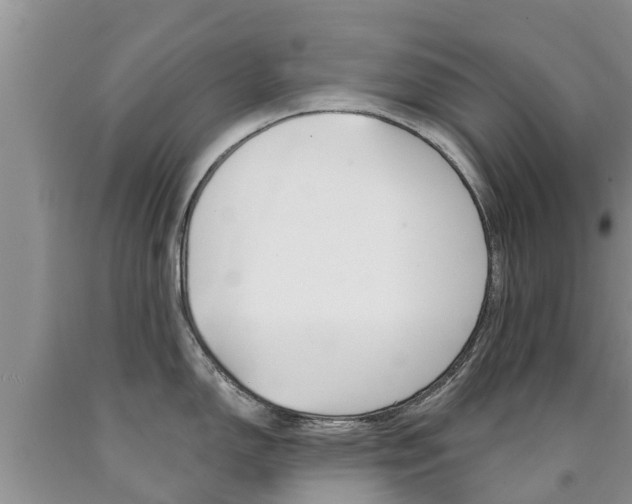 X0000090771150200707201109