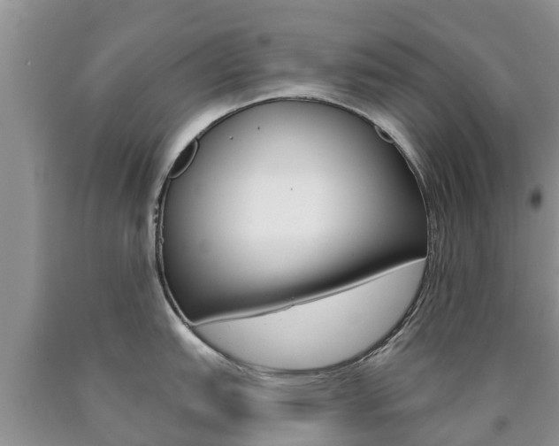 X0000090771151200707201109