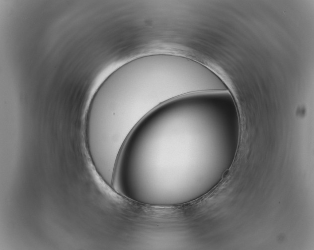 X0000090771152200707201109