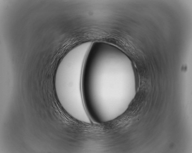 X0000090771153200707201108