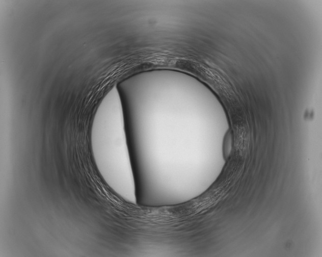 X0000090771154200707201108