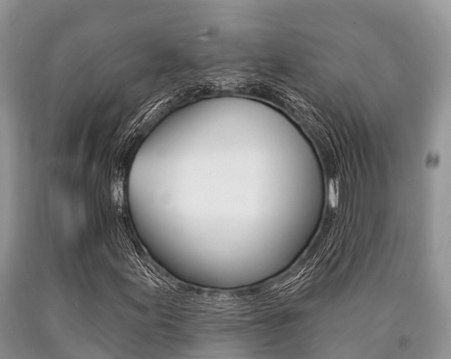 X0000090771155200707201108