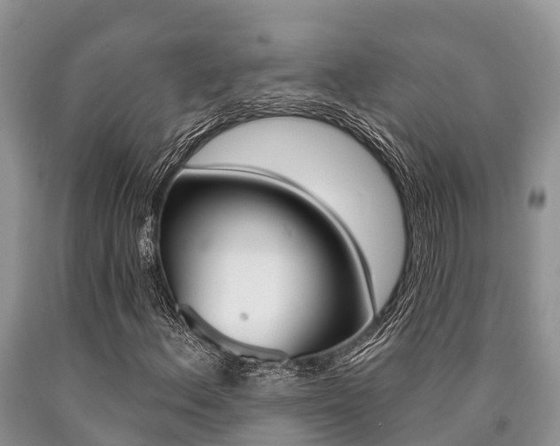 X0000090771156200707201108