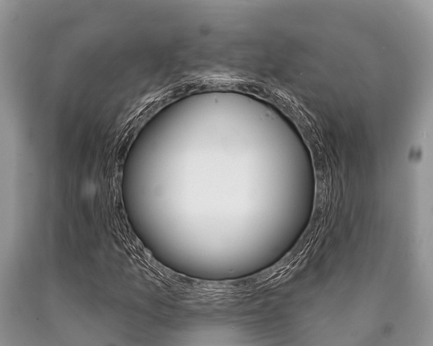 X0000090771157200707201108