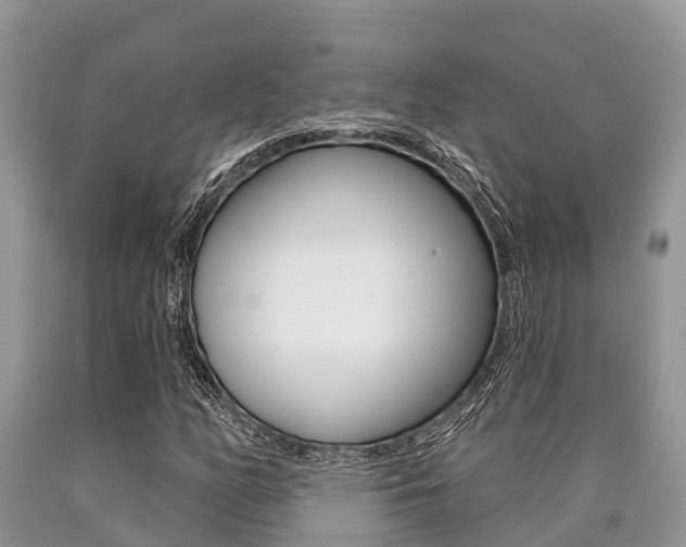X0000090771158200707201108