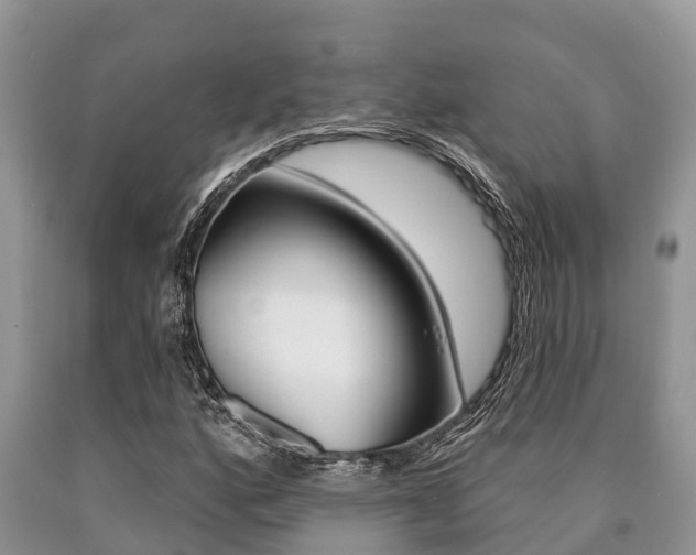 X0000090771160200707201108