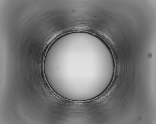 X0000090771162200707201108