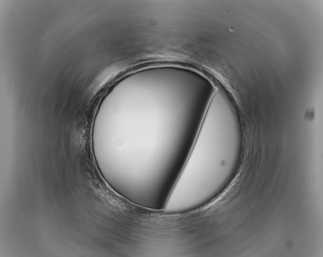 X0000090771163200707201108