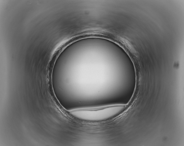 X0000090771164200707201108