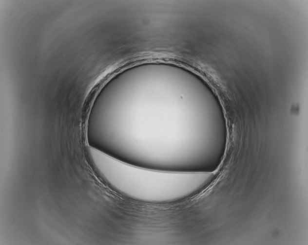 X0000090771165200707201108