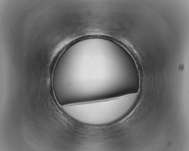 X0000090771167200707201108