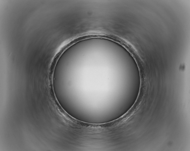 X0000090771168200707201108