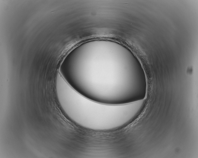 X0000090771169200707201108