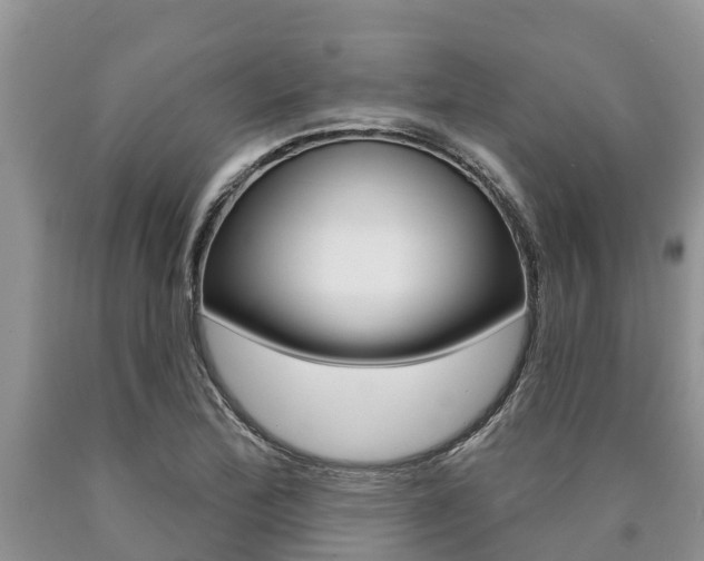 X0000090771172200707201108