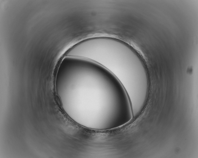 X0000090771173200707201108