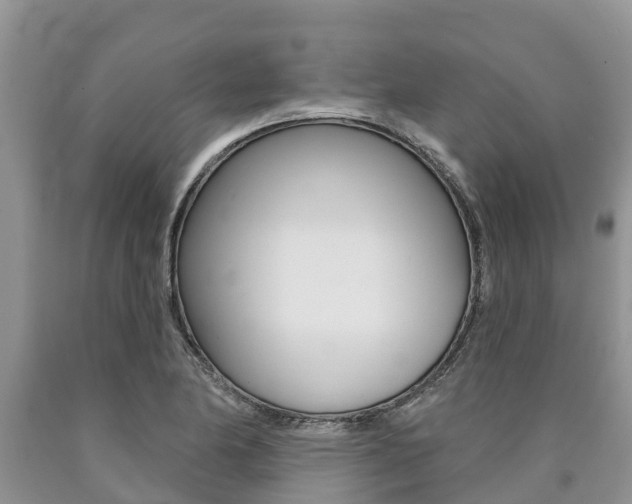 X0000090771174200707201108