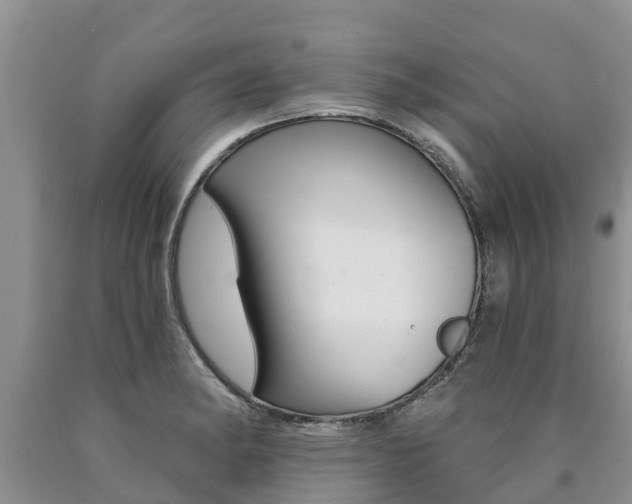 X0000090771182200707201108