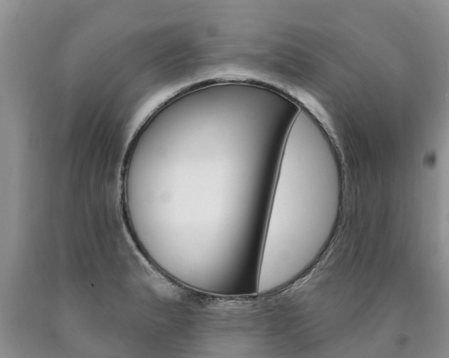 X0000090771183200707201108