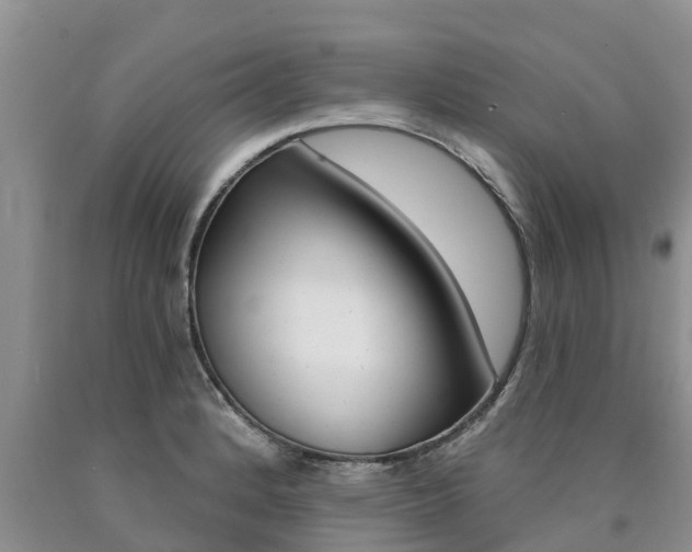 X0000090771184200707201108