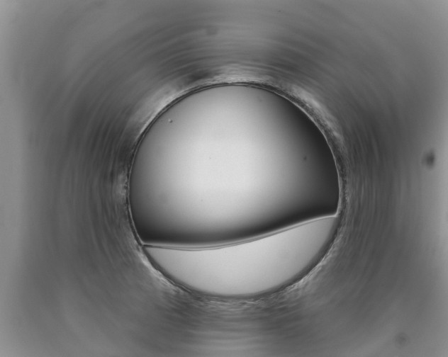 X0000090771185200707201108