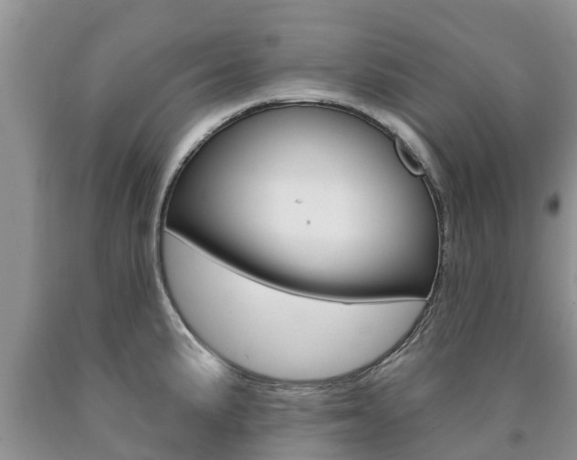 X0000090771191200707201108