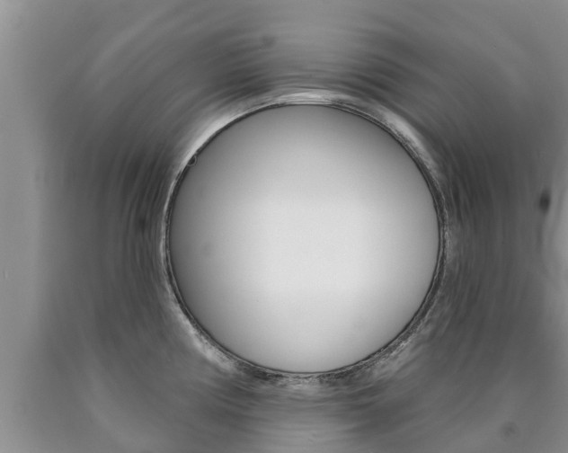 X0000090771194200707201108
