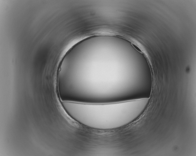 X0000090771195200707201108