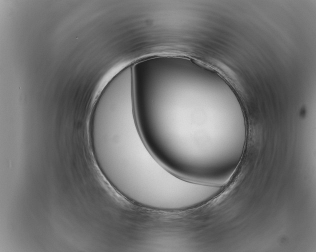 X0000090771196200707201108